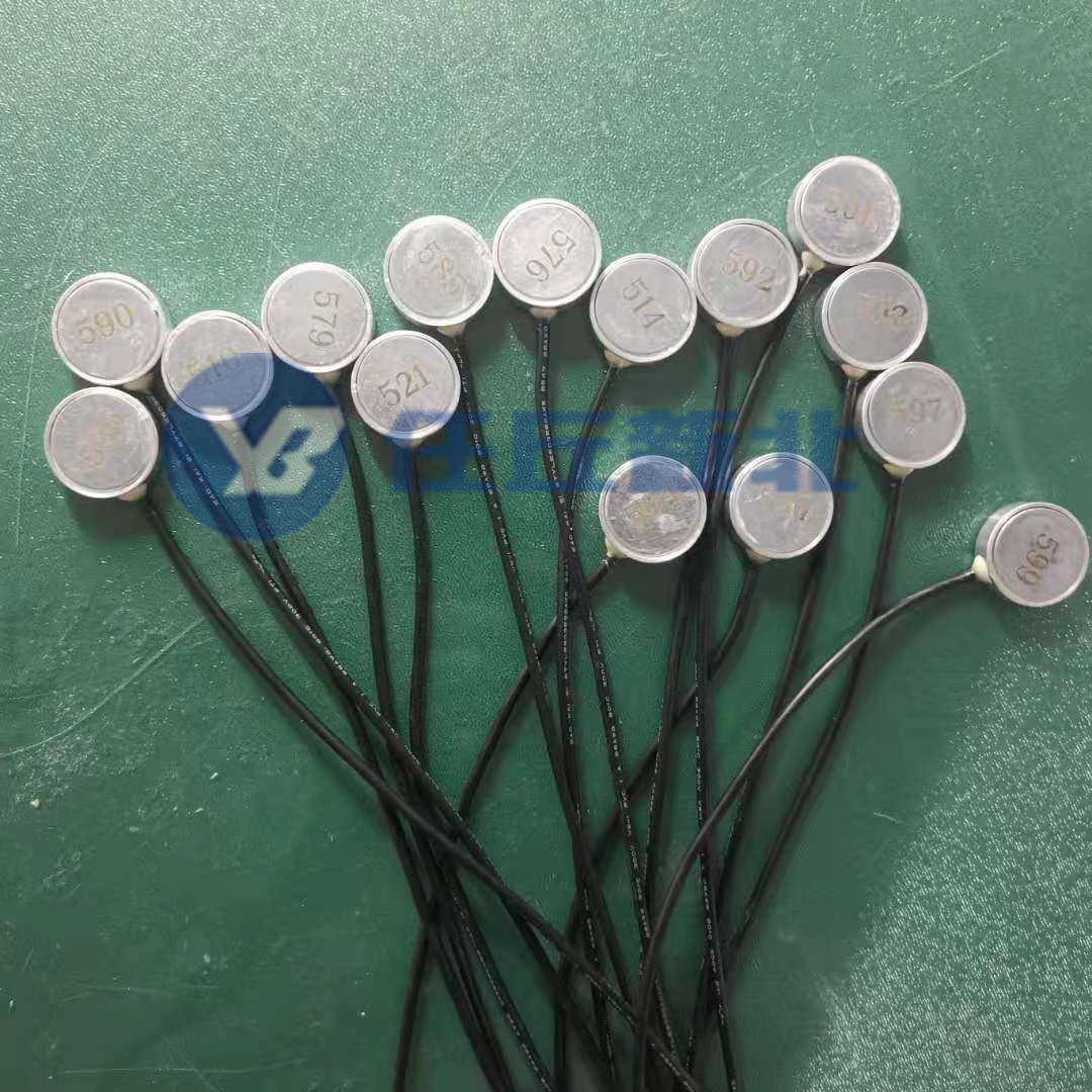 XB-151應(yīng)變式微型土壓力計(jì) XB-151應(yīng)變式微型土壓力計(jì)