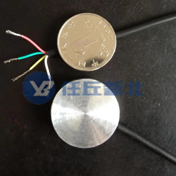 XB-151應(yīng)變式微型土壓力計(jì) XB-151應(yīng)變式微型土壓力計(jì)